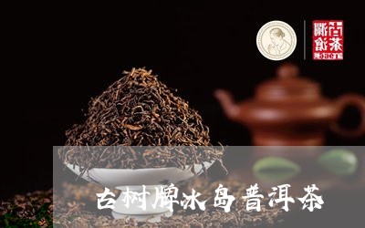 古树牌冰岛普洱茶/2023041369582