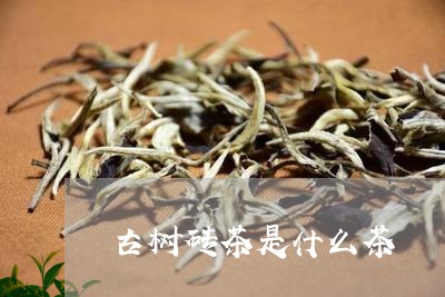 古树砖茶是什么茶/2023032443615