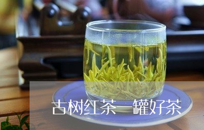 古树红茶一罐好茶/2023032459613