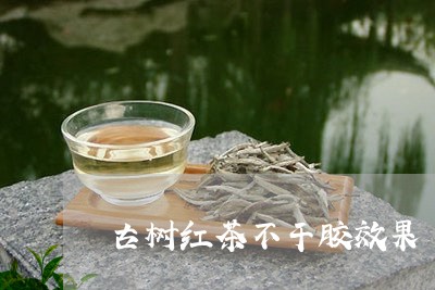 古树红茶不干胶效果/2023032104240