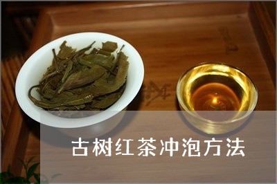 古树红茶冲泡方法/2023032494936