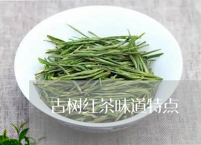 古树红茶味道特点/2023032448169