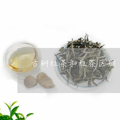 古树红茶和红茶区别/2023041791604