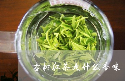 古树红茶是什么香味/2023041778382