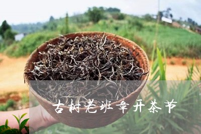 古树老班章开茶节/2023032959482