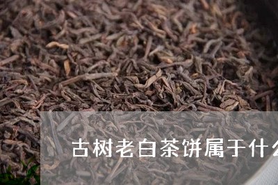 古树老白茶饼属于什么茶类/2023040130371