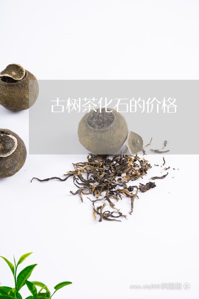 古树茶化石的价格/2023032685581