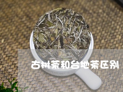 古树茶和台地茶区别/2023032150592