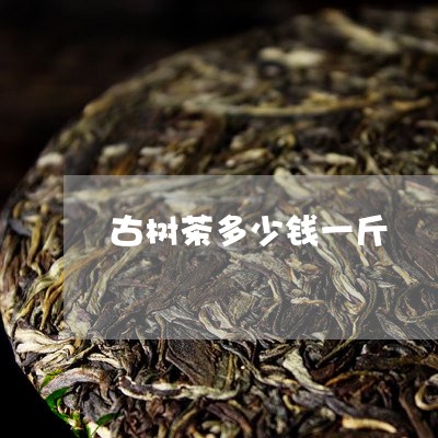 古树茶多少钱一斤/2023041333816