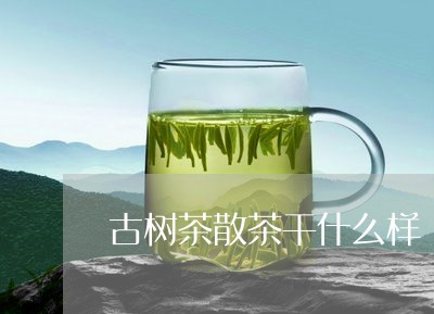 古树茶散茶干什么样/2023032218261