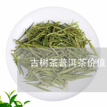 古树茶普洱茶价值/2023041168271