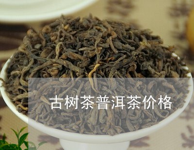 古树茶普洱茶价格/2023041217958