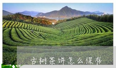 古树茶饼怎么保存/2023032699562