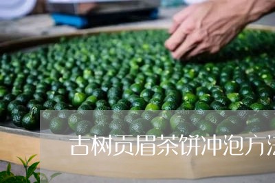 古树贡眉茶饼冲泡方法步骤/2023040261405