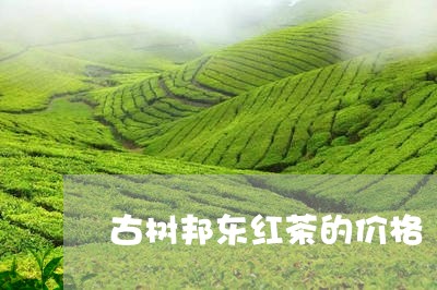 古树邦东红茶的价格/2023032139492