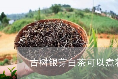 古树银芽白茶可以煮着喝吗/2023040286151