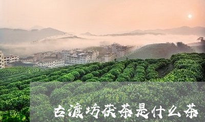 古渡坊茯茶是什么茶/2023041596260