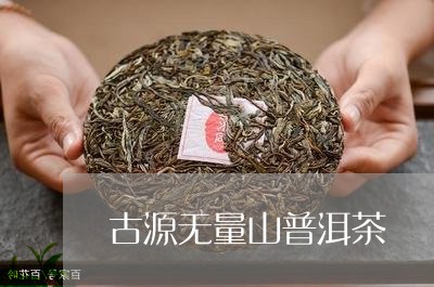 古源无量山普洱茶/2023040136269