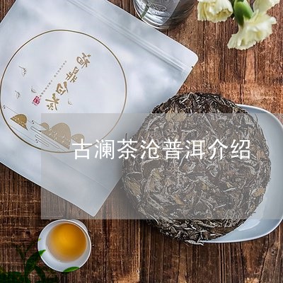 古澜茶沧普洱介绍/2023033040394