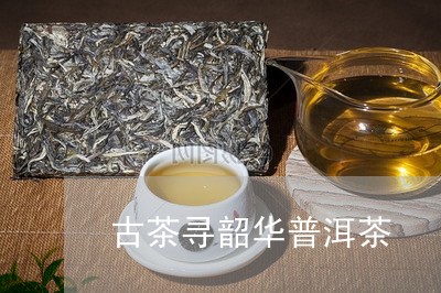 古茶寻韶华普洱茶/2023031583039