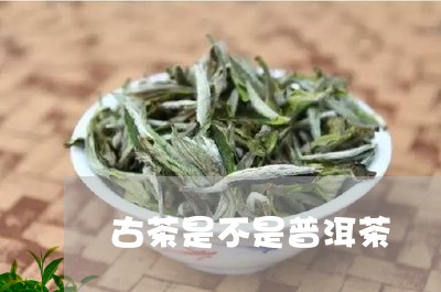 古茶是不是普洱茶/2023041199603