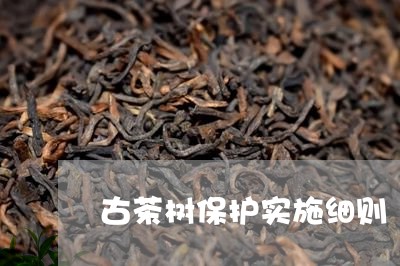 古茶树保护实施细则/2023041643814