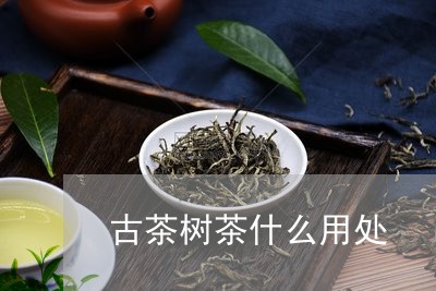 古茶树茶什么用处/2023032570491