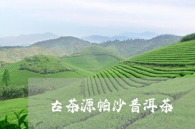 古茶源帕沙普洱茶/2023031677581