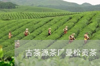 古茶源茶厂曼松贡茶/2023041492848