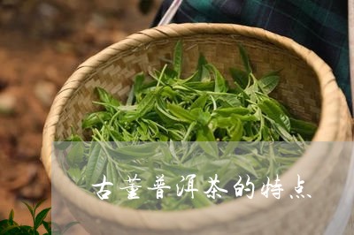 古董普洱茶的特点/2023041314836