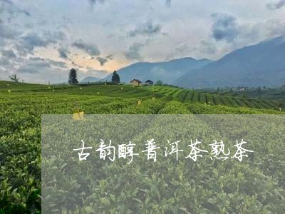 古韵醇普洱茶熟茶/2023041159703