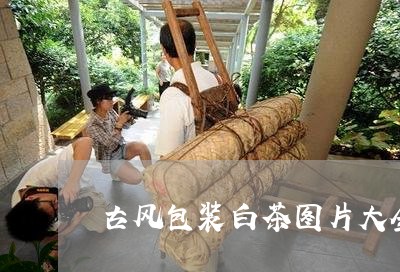 古风包装白茶图片大全大图/2023040219592