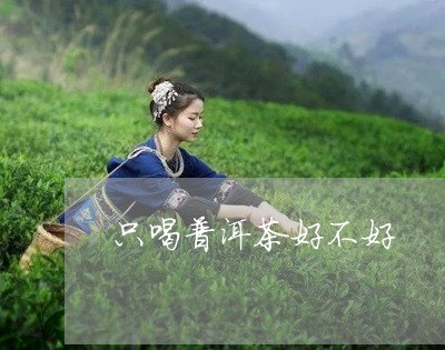 只喝普洱茶好不好/2023033158592