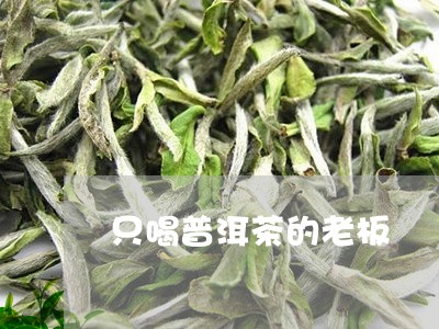 只喝普洱茶的老板/2023041356149