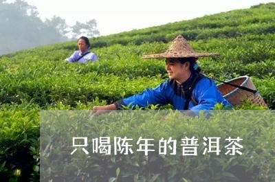 只喝陈年的普洱茶/2023040183958