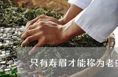 只有寿眉才能称为老白茶吗/2023040223894