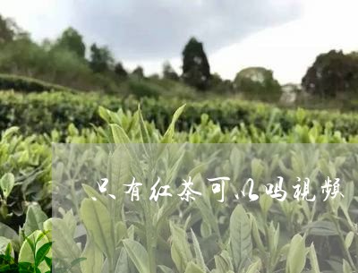 只有红茶可以吗视频/2023041479202