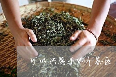 可以兴属于哪个茶区/2023041685059