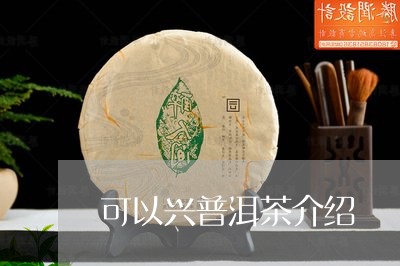 可以兴普洱茶介绍/2023040947363