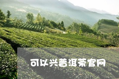 可以兴普洱茶官网/2023041424716