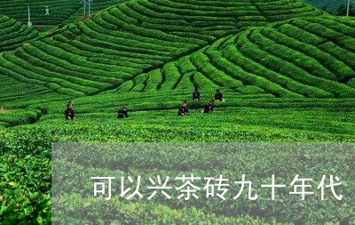 可以兴茶砖九十年代/2023032004069