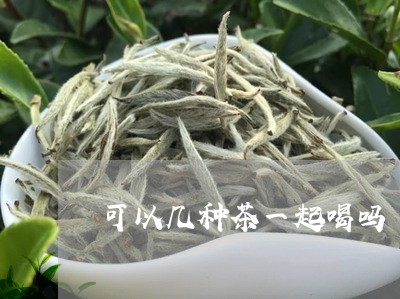 可以几种茶一起喝吗/2023031823816