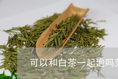 可以和白茶一起泡吗茉莉花/2023040286837