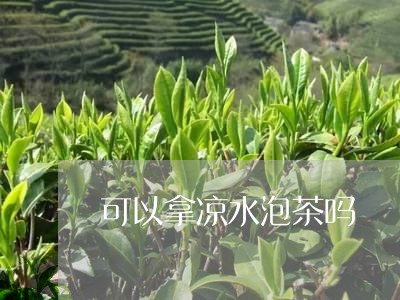 可以拿凉水泡茶吗/2023032526269