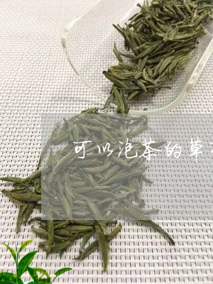 可以泡茶的草有哪些/2023032183824