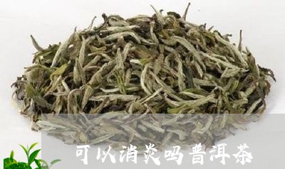 可以消炎吗普洱茶/2023041386272