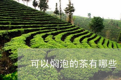 可以焖泡的茶有哪些/2023032098493