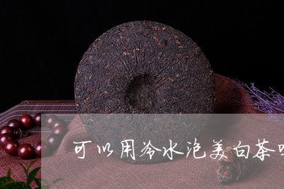 可以用冷水泡美白茶吗/2023040273038