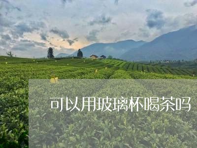 可以用玻璃杯喝茶吗/2023041675935