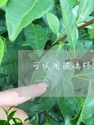 可以用玻璃杯泡茶吗/2023041628614